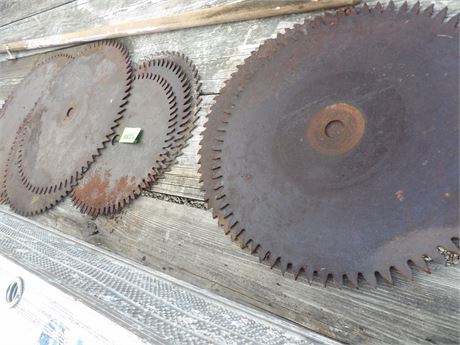 VARIETY OF BUZZ SAW BLADES