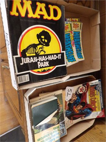 HEATHCLIFF - MAD - BIRD BOOKS ( 2 FLATS )