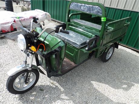 I RANCH ELECTRIC TRICYCLE IRET13 ( GREEN )
