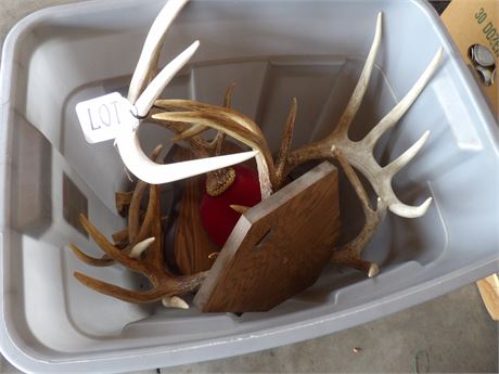 ASSORTMENT WALL ART ANTLERS