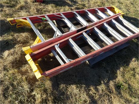 WERNER STEP LADDERS 2 TOTAL