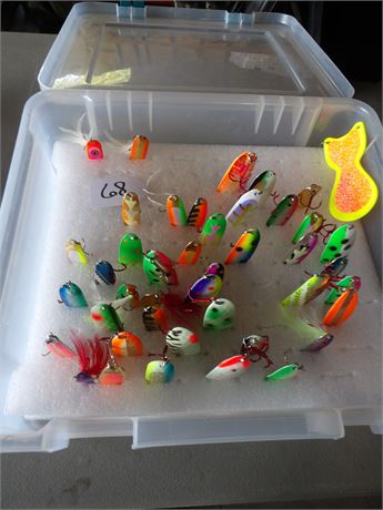 PLASTIC ORGANIZER W / SALMON SPOON FISHING LURES