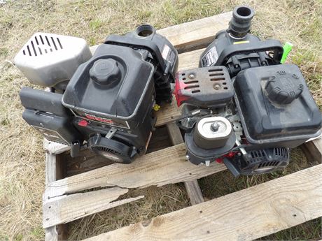 BRIGGS & STRATTON GAS ENGINES  W / PUMPS