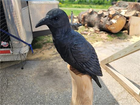 CROW CHAINSAW WOOD CARVING