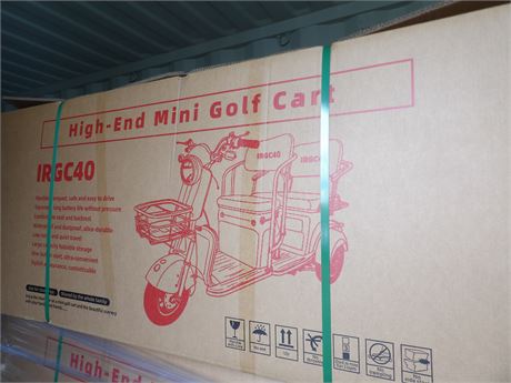 HIGH END MINI GOLF CART ( PURPLE )