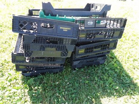 MOSTLY STACKABLE ( FLAT ) PLASTIC TRAYS