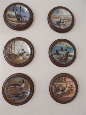 DECORATIVE CANADIAN GOOSE PLATES (6)