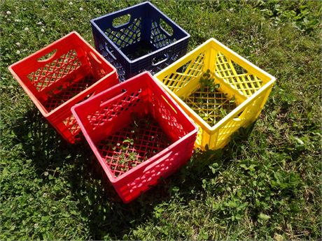 4 PLASTIC BASKETS