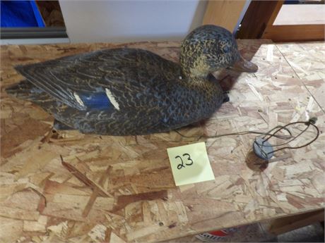 DUCK DECOY