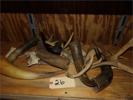 ASSORTMENT OF HORNS/ANTLERS