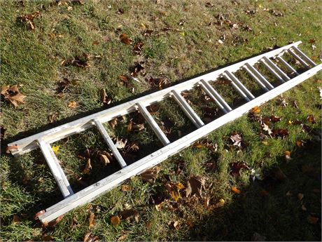 ALUMINUM EXTENSION LADDER