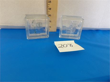 GLASS BLOCK COIN BANKS