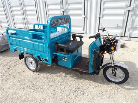 I RANCH ELECTRIC TRICYCLE ( IRET 13 - BLUE )