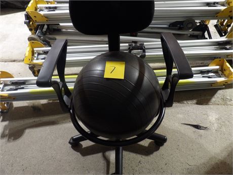 EXERCISE/OFFICE BALL CHAIR