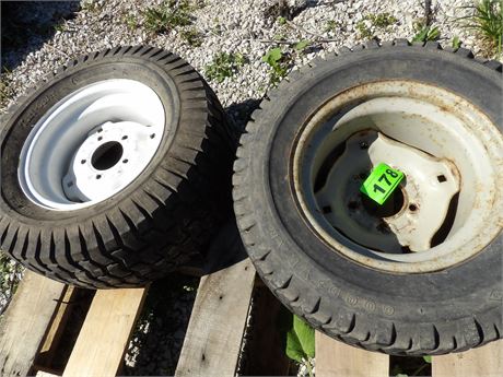 LAWN & GARDEN TIRES W / RIMS