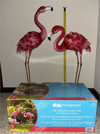 These Birds Measure Up!