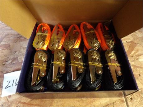 HIGH END RACHET TIE DOWNS   2 M - 20 PC