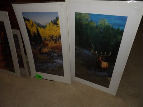 ELK & HORSE PRINTS