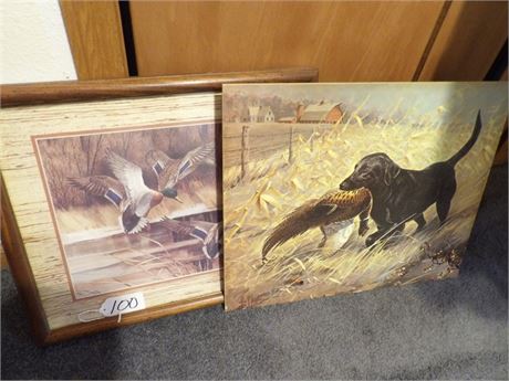 DUCK & PHEASANT PICTURES